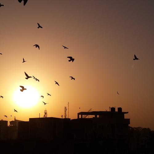 morning sun rising