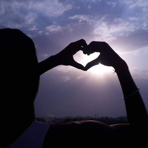 Photo #1773948