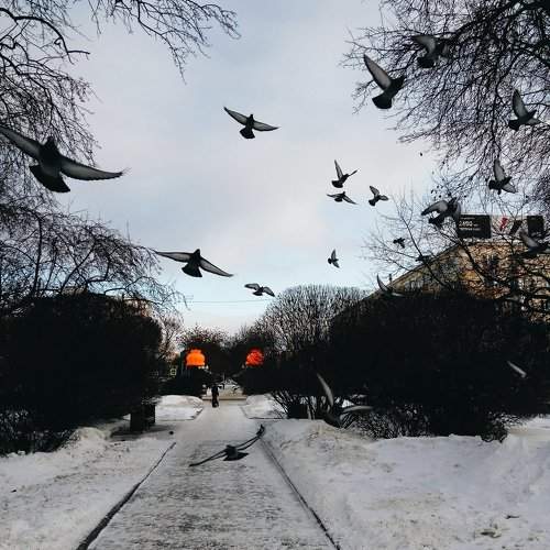 В парке