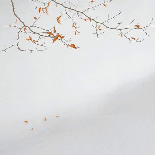 Winter breaks.