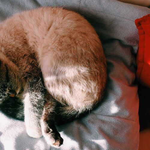 Photo #1775263