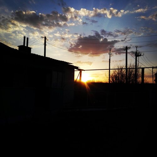 Photo #1775341