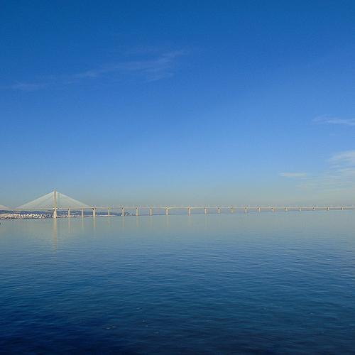 Photo #1775365
