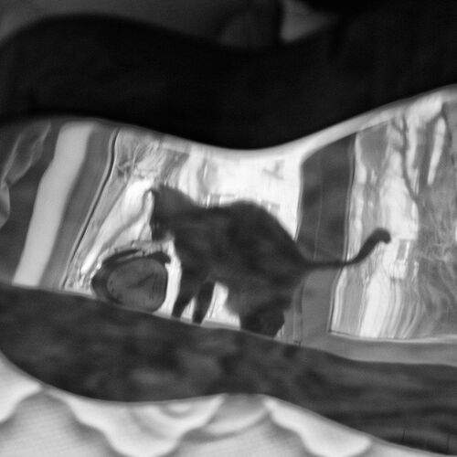 cat, clock and gitar
