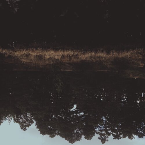 Photo #1775679