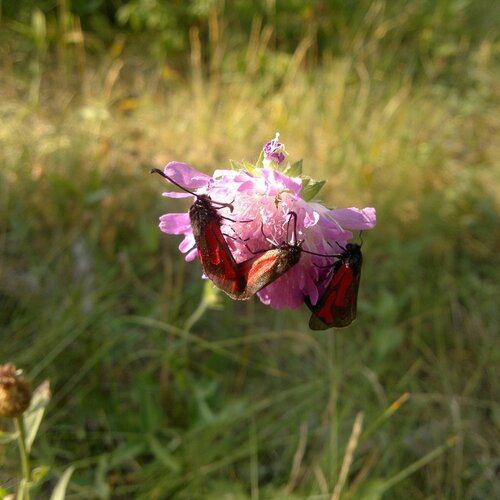 Photo #1776698
