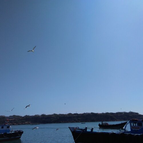 Photo #1777240