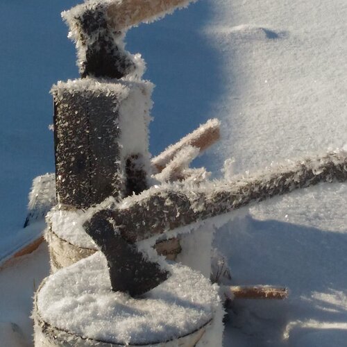Photo #1780265