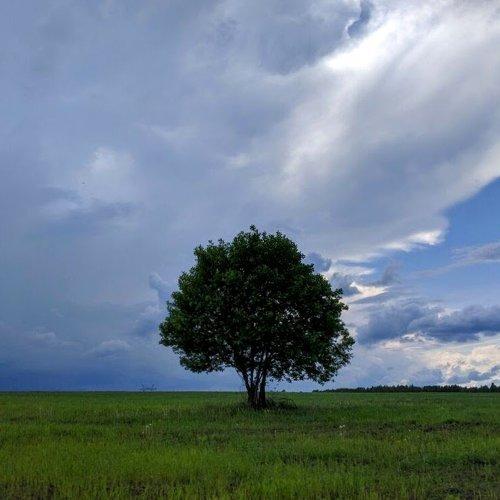 Скоро будет буря