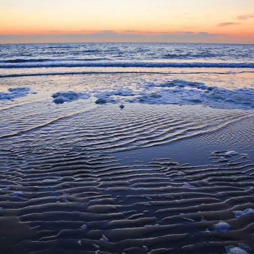 Photo #1781534