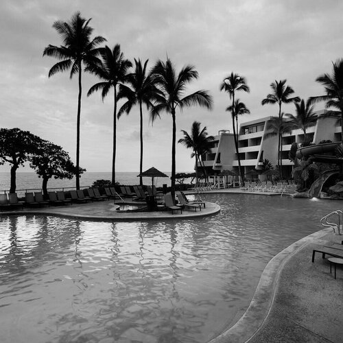 Photo #1781704