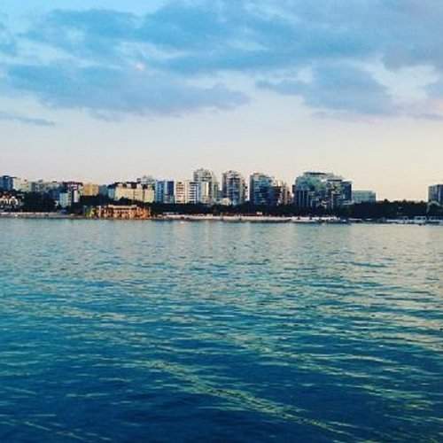 Photo #1782500