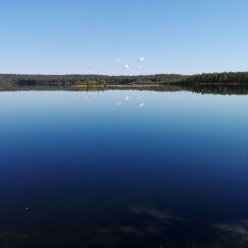 Photo #1783099