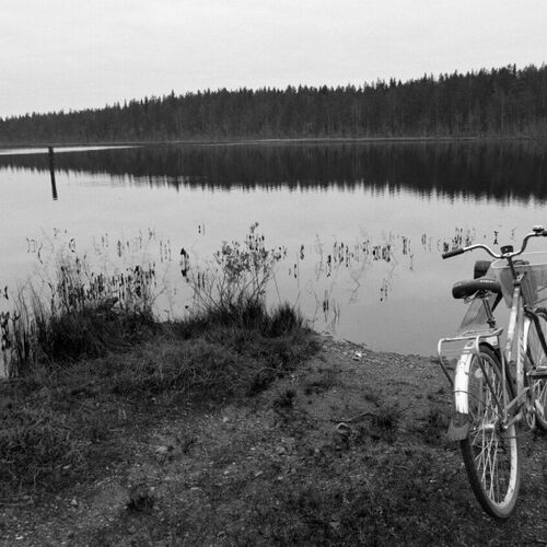 Photo #1783565