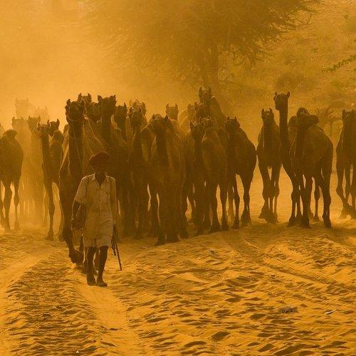 Pushkar