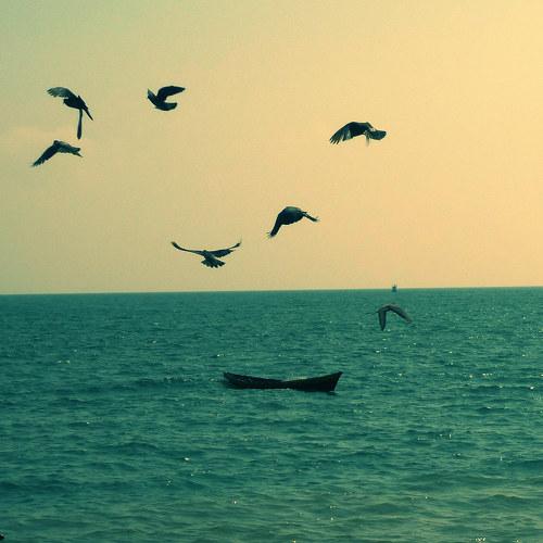 Freedom!!