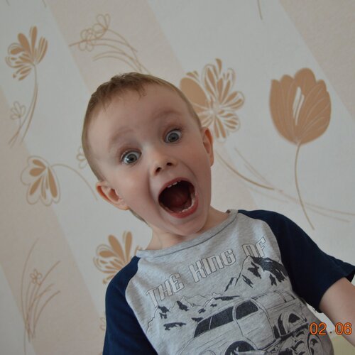 Photo #1787370