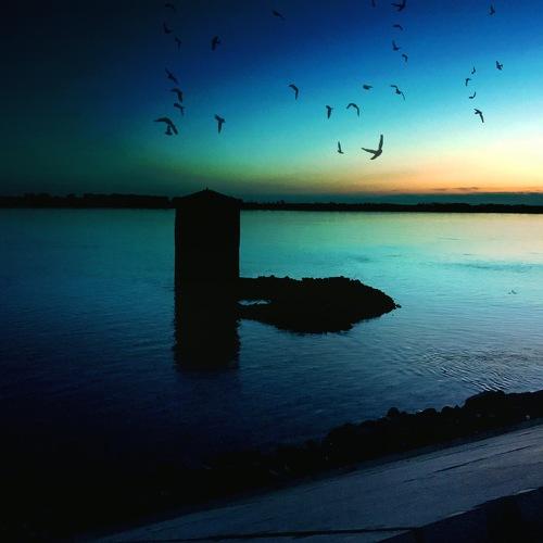 Photo #1787916