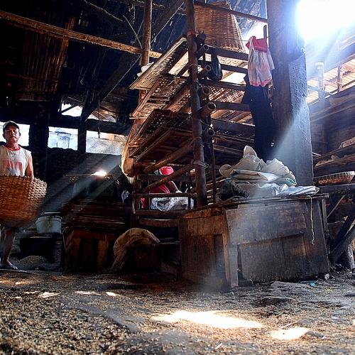 Photo #1788024