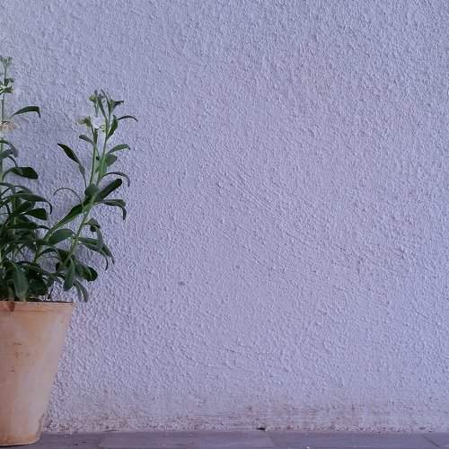 Minimalism