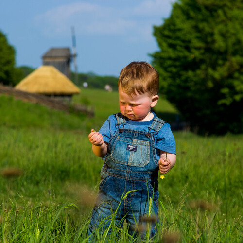 Photo #1789373
