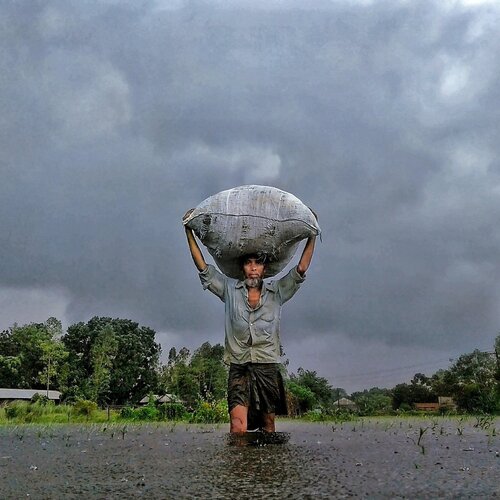 A flood Affected Life