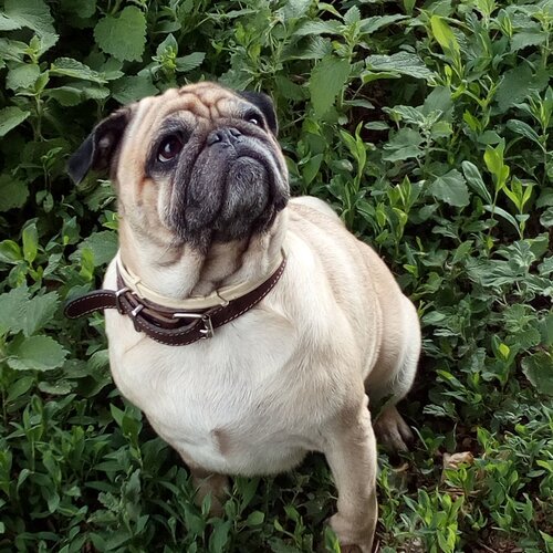 Photo #1791303