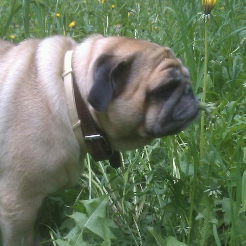 Photo #1791305