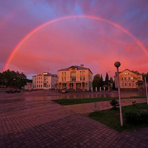 Photo #1795094