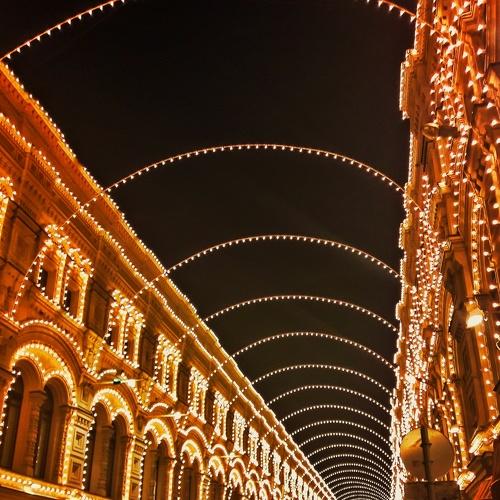 Photo #1796150