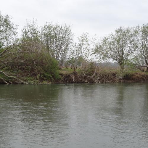 Photo #1796897