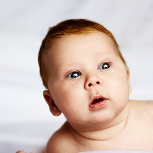 Photo #1796921