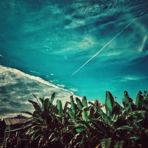 Photo #1798000