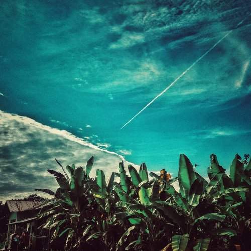 Photo #1799401