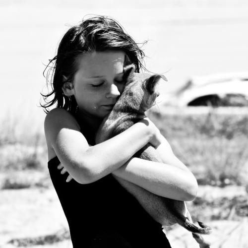 Photo #1801255