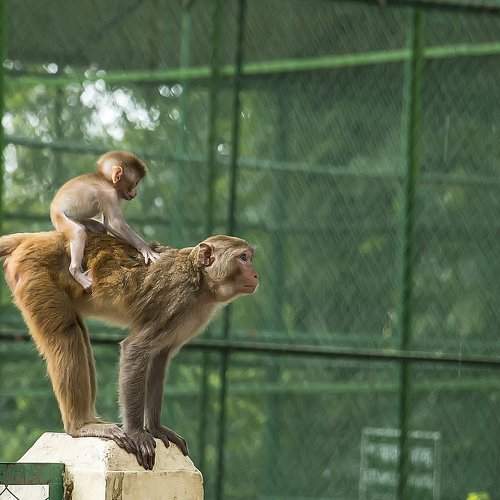 Photo #1803271