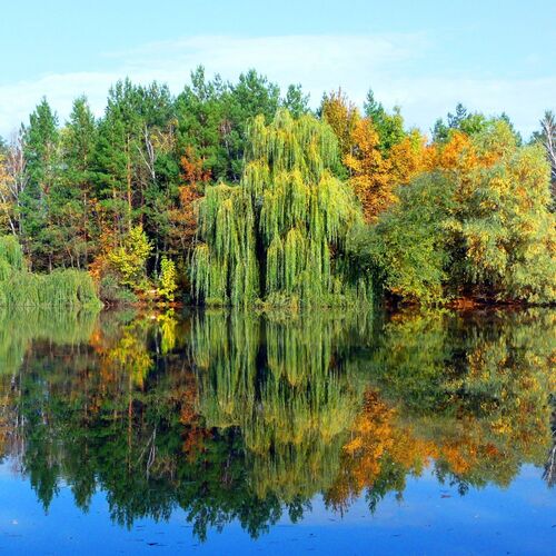 п.Гончарка, озеро