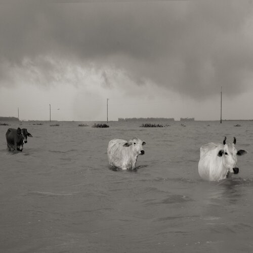 No vessel to get on...