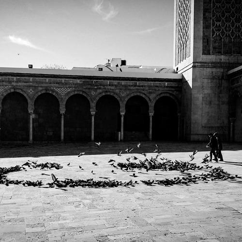 Hall of faith