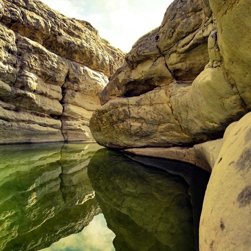 Through the green river