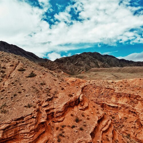 Photo #1806616