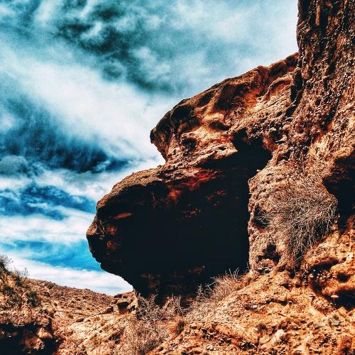 Photo #1806619