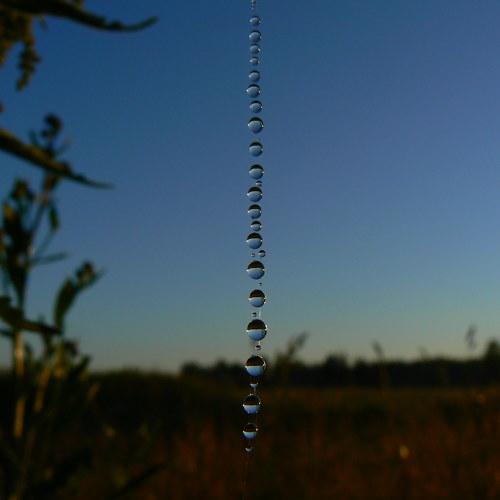 Photo #1807070