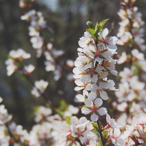 Photo #1808098