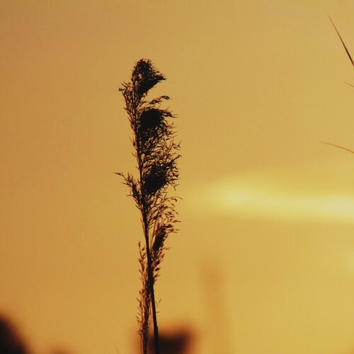 Photo #1808107