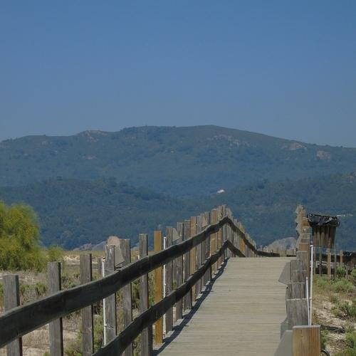 Photo #1808687