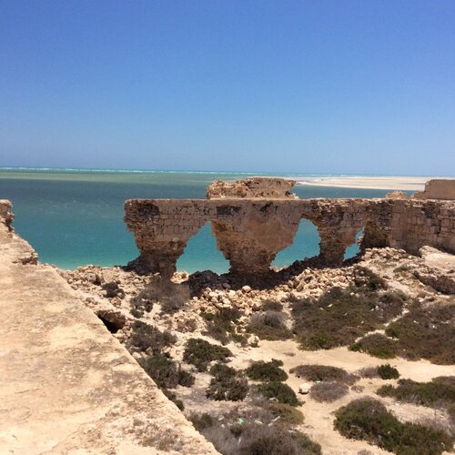 Photo #1809930
