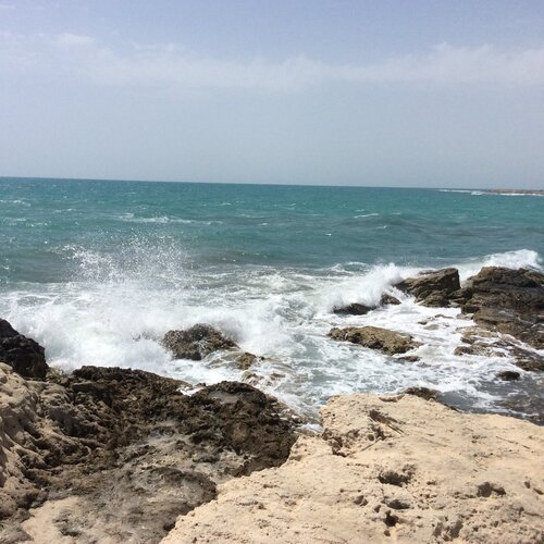 Photo #1809938