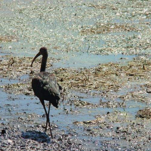 Photo #1810009