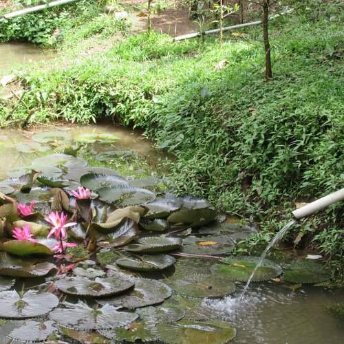 Flow of Life